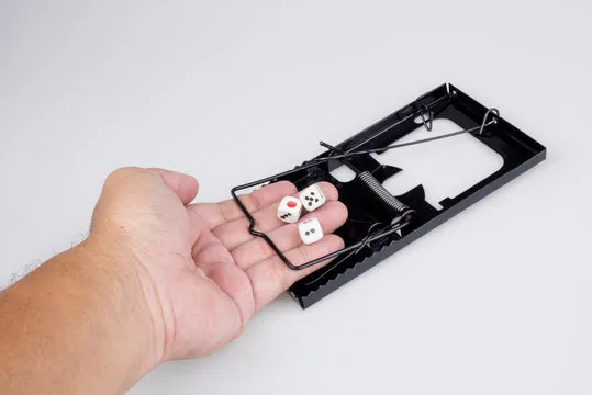 杏宇娱乐 品牌形象